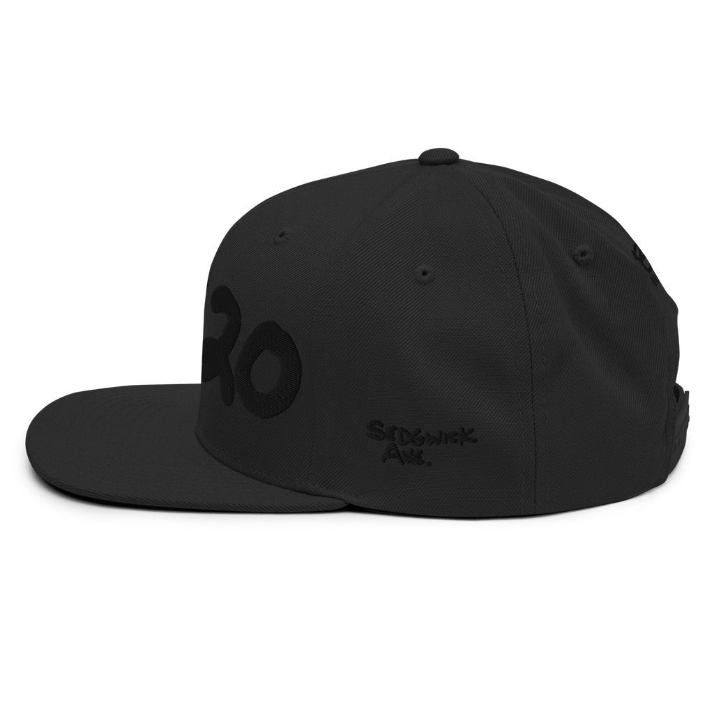 Left side view of the black 1520 Cap with tonal Sedgwick Ave script